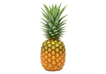 Fototapeta premium Isolated fresh whole pineapple fruit with a spiky crown of vibrant green leaves in studio