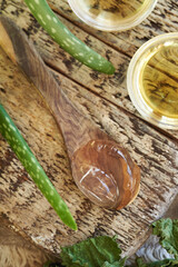 Aloe vera gel and other ingredients for homemade natural shampoo - argan oil, apple cider vinegar, dried nettle