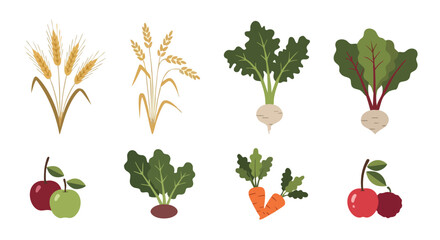Flat Organic Agriculture Vector Set with Wheat, Root Vegetables, and Fruits in Minimal Style for Eco Farm Illustration