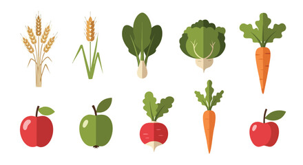 Flat Organic Vegetable and Fruit Vector Set with Wheat, Carrot, Beetroot, and Apple Icons in Minimal Farm Style
