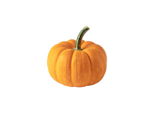 Small Orange Pumpkin with Green Stem on White Background