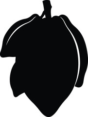 Silhouette vector single papaya tropical fruit isolated art Illustrator