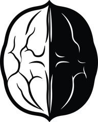 Silhouette vector walnut black and white halves symmetrical Illustrator
