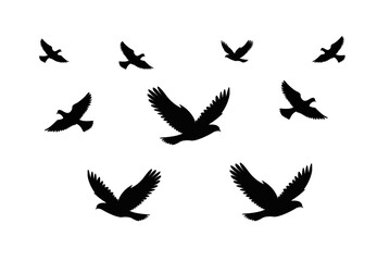 Black bird shapes collection for freedom and nature design