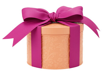 Isolated round box with floral pattern and pink ribbon, gift for special occasions, present