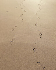 footprints in sand