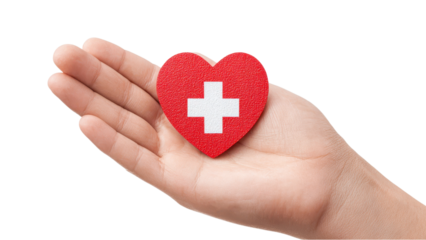 Hand Holding Medical Heart - Healthcare Concept