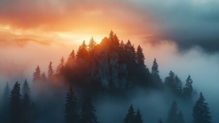 Fototapeta premium Misty Mountain Forest Silhouette at Sunrise with Golden Light Breaking Through Clouds Keywords: mountain, forest, trees, silhouette, pine trees, fir trees