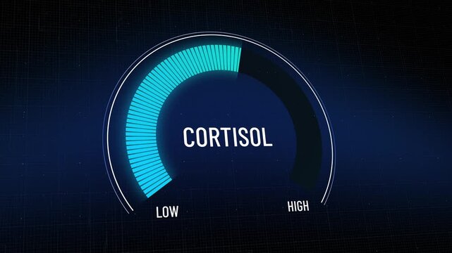 High cortisol stress hormone levels decreasing, digital gauge dropping from max to low, tracking anxiety reduction and health recovery, medical monitoring, cyan blue HUD. Copy space