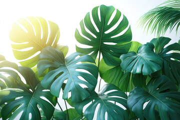 Vibrant Emerald Palm and Monstera Leaves in Studio Light