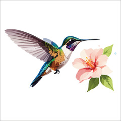  Vibrant hummingbird hovering near a blooming twig of pink colored flowers