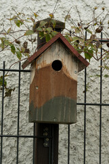 vogelhaus garten haus vogel natur