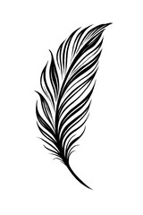 Obraz premium Elegant Minimalist Black Feather Vector Art Illustration on White Background - Stylized Bird Plumage Graphic Design Element, Perfect for Branding, Logos, Decor, Wall Art, and Digital Projects