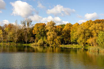 Fototapeta premium Autumn trees with colorful foliage reflected in lake under blue sky. Seasonal nature landscape with calm water and clear weather.