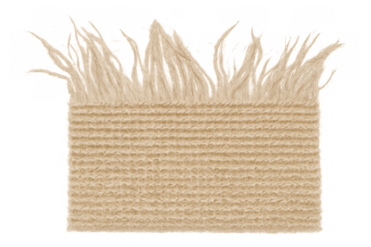 Beige woven fabric with frayed fringe texture cutout on transparent background, textile material, rustic concept