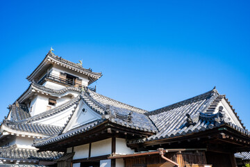 高知城の風景（高知市）