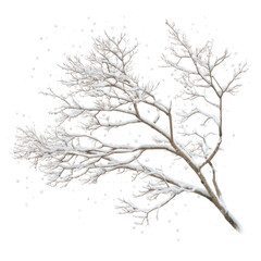 Fototapeta premium A delicate snow-covered branch, isolated against a dark background, perfect for seasonal design