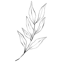 Minimalist Botanical Branch Line Art, Hand Drawn Leaf Outline, Wedding floral ink line art
