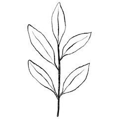 Minimalist Botanical Branch Line Art, Hand Drawn Leaf Outline, Wedding floral ink line art
