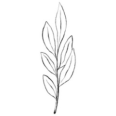 Minimalist Botanical Branch Line Art, Hand Drawn Leaf Outline, Wedding floral ink line art
