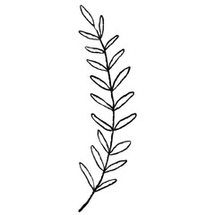 Minimalist Botanical Branch Line Art, Hand Drawn Leaf Outline, Wedding floral ink line art
