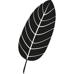 Black Silhouette of a Single Leaf with Detailed Veins on a Transparent Background
