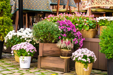 Fototapety na wymiar - Fototapeta24.pl