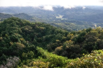 Naklejka premium 朝靄漂う夏の登山風景 
