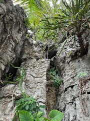 Mu Ko Ang Thong National Park, Thailand – scenic tropical islands view. Rocky slope covered with vegetation