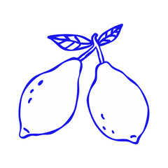 simple blue line art lemon doodle icon: hand-drawn citrus fruit symbol with leaves