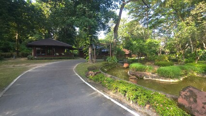 Tranquil Garden Retreat with Pathway, Pavilion, and Serene Water Features in Nature