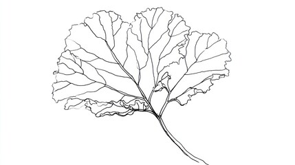 Detailed leaf outline drawing