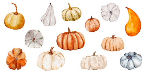 Harvest pumpkin bundle in a soft watercolor style, ideal for seasonal clipart, Thanksgiving decorations, and Halloween artwork.