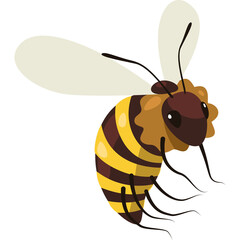 Detailed illustration of a yellow and brown striped bee with transparent wings in mid flight against a plain white background with dark eyes and delicate antennae