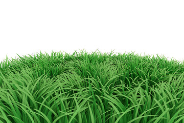 Obraz premium Vibrant green grass stretches along a gentle curve, against a bright, clean background.