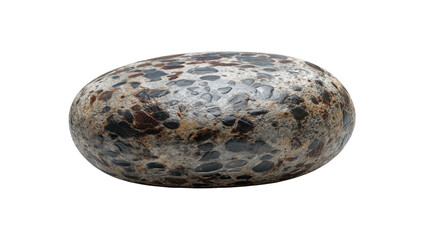 Oval-shaped, mottled stone with a polished appearance, featuring varied dark and light speckles on a neutral backdrop