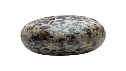 Oval-shaped, mottled stone with a polished appearance, featuring varied dark and light speckles on a neutral backdrop