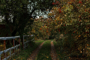 Naklejka premium Autumn landscape, gloomy street, green and yellow