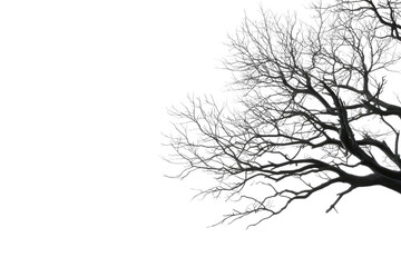 Obraz premium Abstract illustration of a bare, frosted tree branch against a stark black background