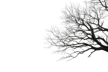 Abstract illustration of a bare, frosted tree branch against a stark black background