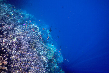 underwater world map