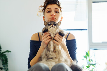 woman's hands hugging and scratching a fluffy gray cat