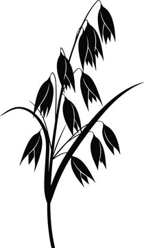 Black silhouette vector of an oat cereal grain plant stalk with drooping panicles Minimalist farm harvest nature icon design