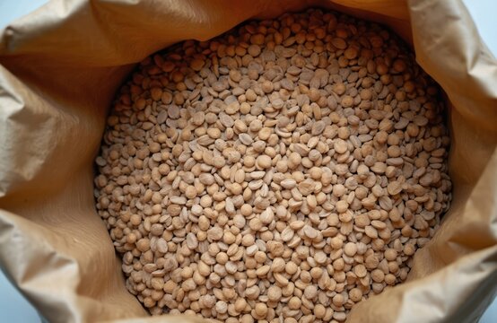 Close up photo shows a paper bag full of fodder beet seeds. The seeds are dry beige and tiny. They are ready for sowing. Agriculture concept.