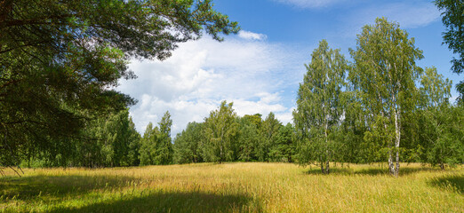 Typowa łąka na Pojezierzu Mazurskim, Polska   Typical meadow in the Masurian Lake District, Poland © Adrian White