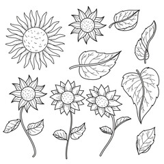 Sunflower Line Art Vector Set. Hand-Drawn Outline Floral Elements & Leaves for Coloring Books, Design, and Botanical Projects