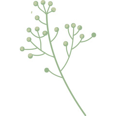 Delicate Pixel Art Botanical Illustration of a Pale Green Flowering Stem with Small Buds on a Transparent Background