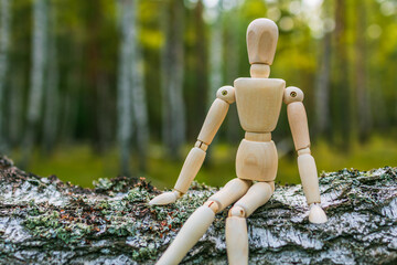 A toy wooden shuttle sits on a birch tree and waits
