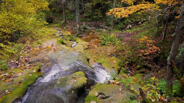 Camera moves forward and descends along the waterfall surrounded by moss and autumn forest tones