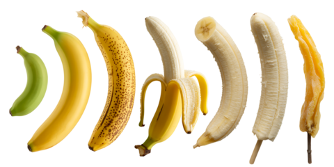 Banana Assortment Stages Yummy Tropical Fruit Ripening Process